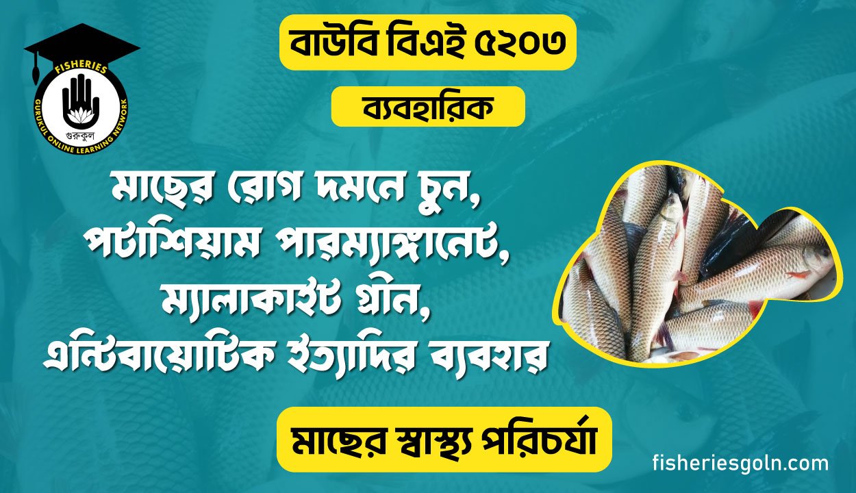 মাছের রোগ দমনে চুন, পটাশিয়াম পারম্যাঙ্গানেট, ম্যালাকাইট গ্রীন, এন্টিবায়োটিক ইত্যাদির ব্যবহার