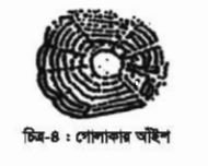 চাষযোগ্য মাছ সম্পর্কে ধারণা
