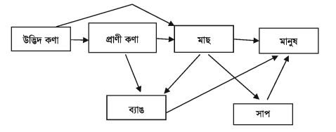 খাদ্য জালিকা