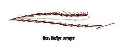 গলদা চিংড়ির জীববিদ্যা