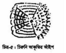 চাষযোগ্য মাছ সম্পর্কে ধারণা