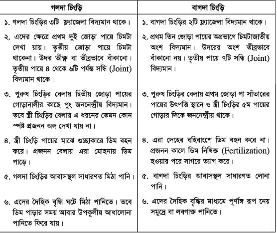 চিংড়ি পরিচিতি, জীববিদ্যা ও চাষ ব্যবস্থাপনা