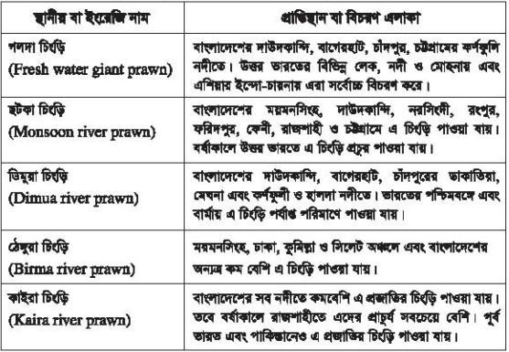 চিংড়ি পরিচিতি, জীববিদ্যা ও চাষ ব্যবস্থাপনা