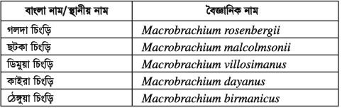 চিংড়ি পরিচিতি, জীববিদ্যা ও চাষ ব্যবস্থাপনা