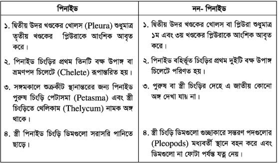 চিংড়ি পরিচিতি, জীববিদ্যা ও চাষ ব্যবস্থাপনা