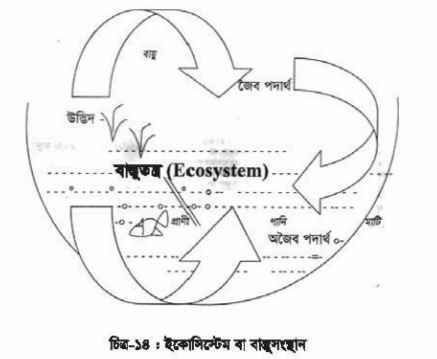 মাছচাষে প্রতিবেশের বিভিন্ন নিয়ামকের প্রভাব
