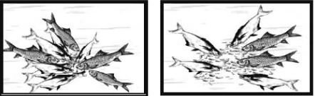 ভেজা খাদ্য বল আকারে প্রয়োগ করলে কী ঘটে