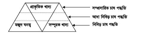 মিশ্রচাষে পোনা মজুদকালীন ব্যবস্থাপনা