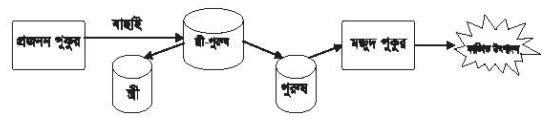 কোন তেলাপিয়াকে মনোসেক্স তেলাপিয়ায় রূপান্তরিত করা যেতে পারে