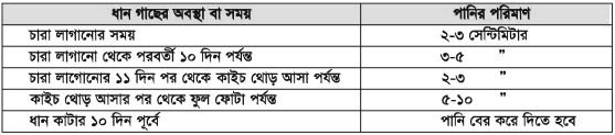 ধানের সাথে মাছের চাষ