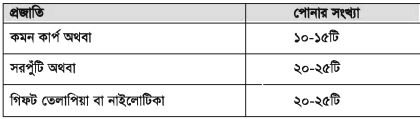 ধানের সাথে মাছের চাষ