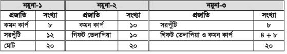 ধানের সাথে মাছের চাষ