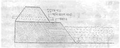 ফিস কালচার অ্যান্ড ব্রিডিং - ১ প্রথমপত্র ব্যবহারিক