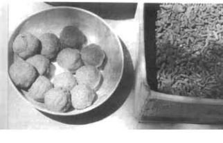 ফিস কালচার অ্যান্ড ব্রিডিং - ১ প্রথমপত্র ব্যবহারিক