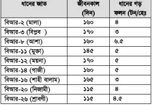 ধানের সাথে মাছের চাষ