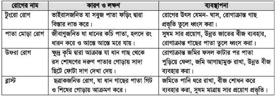 ধানের সাথে মাছের চাষ