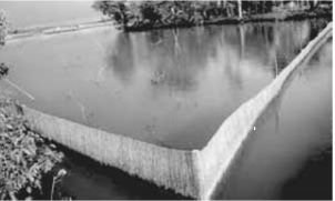 পেনে মাছচাষ