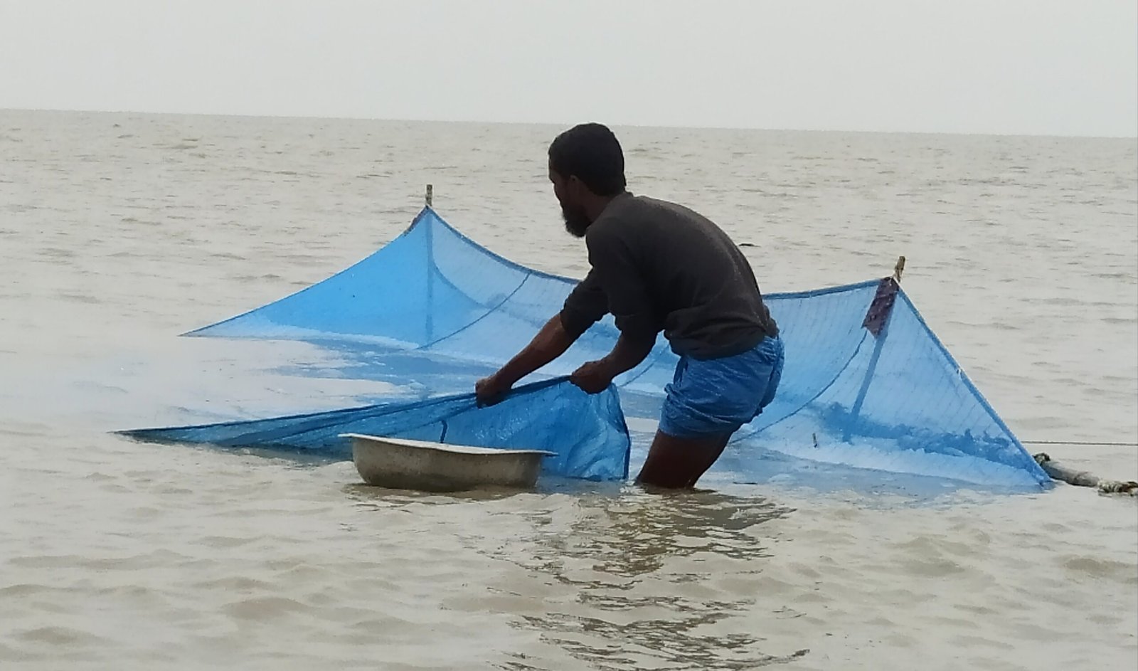 মাছ নিরুদিকরণ | অধ্যায়-২ | শ্রিম্প কালচার এন্ড ব্রিডিং-২