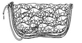 মাছ সংরক্ষণ ও প্রক্রিয়াজাতকরণ