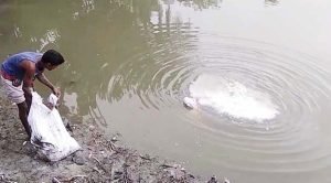 সহনশীল মৎস্য উৎপাদনে মাটি ও পানির স্বাস্থ্য ব্যবস্থাপনা
