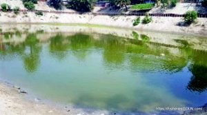 মাছ চাষের জন্য পুকুরের পরিমাপ নির্ণয়