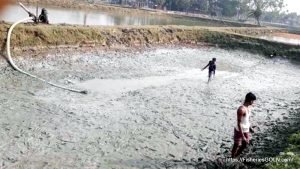 মাছ চাষে সফল হতে পুকুর প্রস্তুত করার ধাপসমূহ