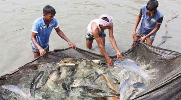 জীব বৈচিত্র্য, মৎস্য রক্ষা ও সংরক্ষণ আইন