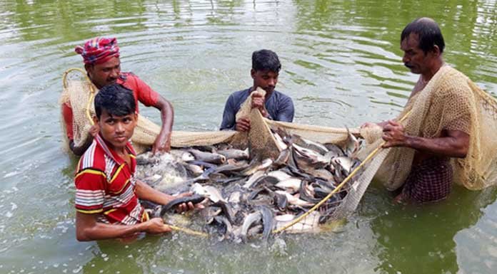 জীব বৈচিত্র্য, মৎস্য রক্ষা ও সংরক্ষণ আইন