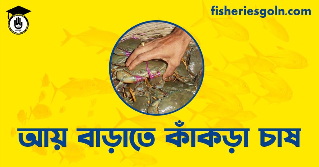আয় বাড়াতে কাঁকড়া চাষ