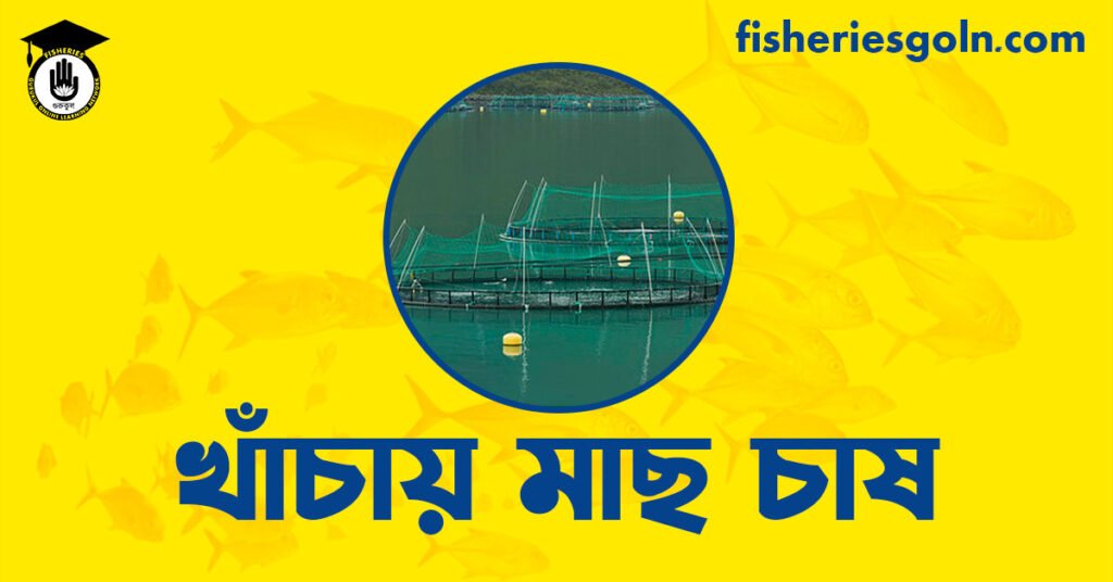 খাঁচায় মাছ চাষ