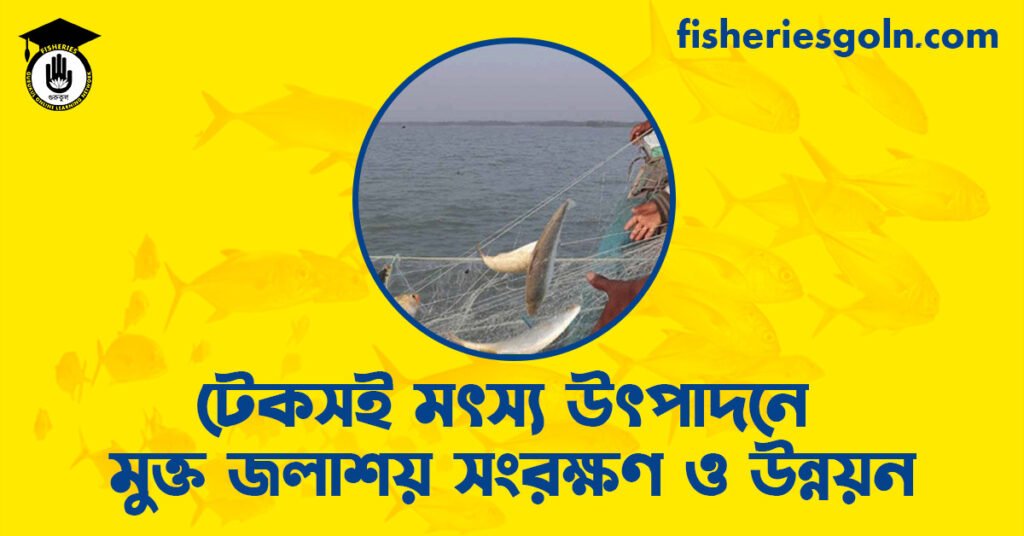 টেকসই মৎস্য উৎপাদনে মুক্ত জলাশয় সংরক্ষণ ও উন্নয়ন