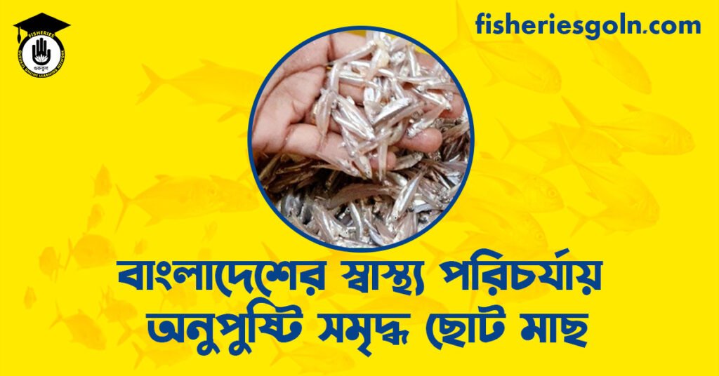বাংলাদেশের স্বাস্থ্য পরিচর্যায় অনুপুষ্টি সমৃদ্ধ ছোট মাছ