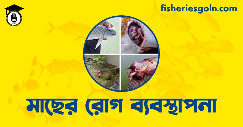 মাছের রোগ ব্যবস্থাপনা
