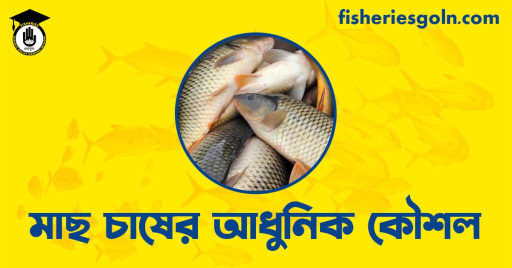 মাছ চাষের আধুনিক কৌশল