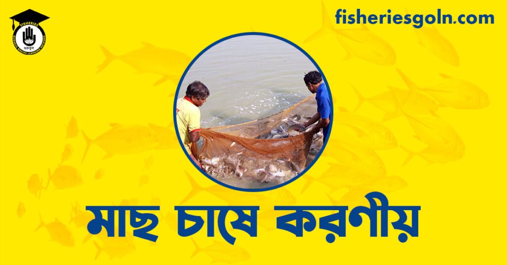 মাছ চাষে করণীয়