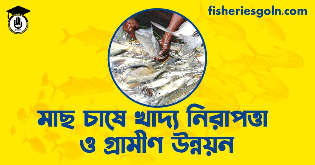 মাছ চাষে খাদ্য নিরাপত্তা ও গ্রামীণ উন্নয়ন