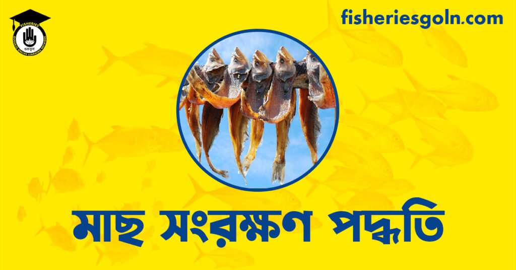 মাছ সংরক্ষণ পদ্ধতি