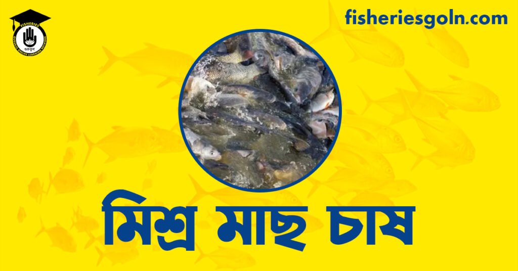 মিশ্র মাছ চাষ