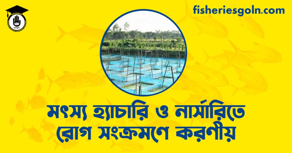 মৎস্য হ্যাচারি ও নার্সারিতে রোগ সংক্রমণে করণীয়