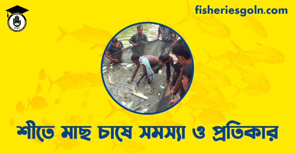 শীতে মাছ চাষে সমস্যা ও প্রতিকার