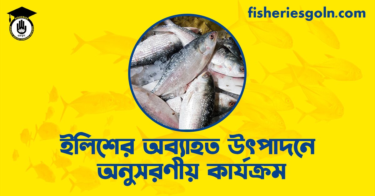 ইলিশের অব্যাহত উৎপাদনে অনুসরণীয় কার্যক্রম