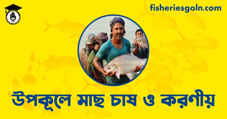 উপকূলে মাছ চাষ ও করণীয়