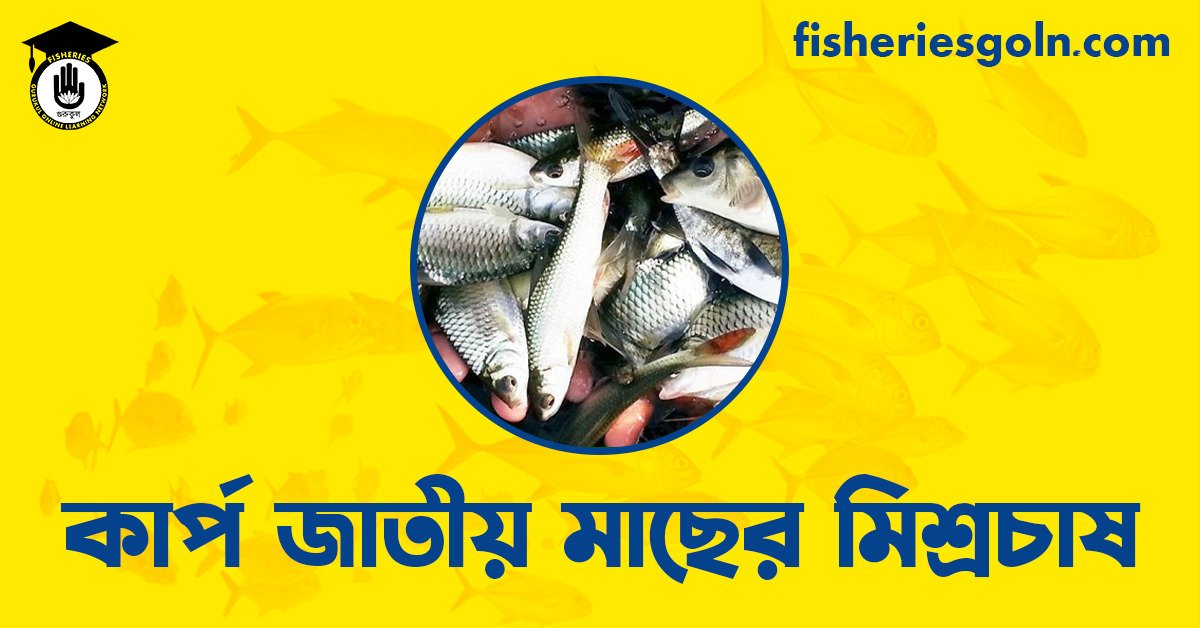 কার্প জাতীয় মাছের মিশ্রচাষ
