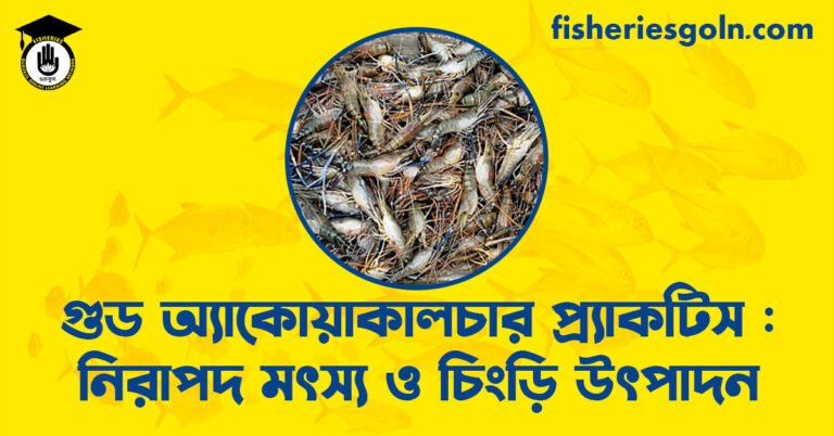 গুড অ্যাকোয়াকালচার প্র্যাকটিস : নিরাপদ মৎস্য ও চিংড়ি উৎপাদন