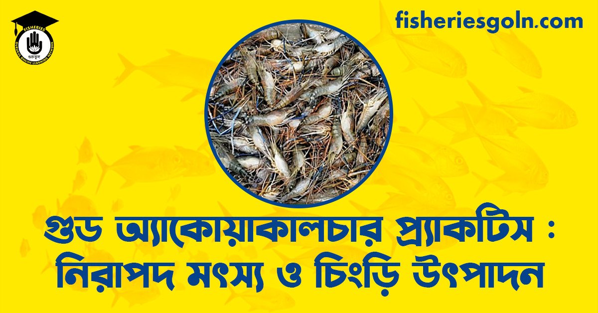 গুড অ্যাকোয়াকালচার প্র্যাকটিস : নিরাপদ মৎস্য ও চিংড়ি উৎপাদন
