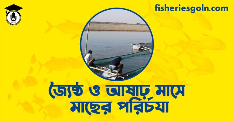 জ্যৈষ্ঠ ও আষাঢ় মাসে মাছের পরির্চযা
