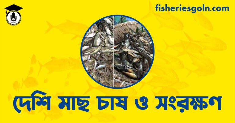 দেশি মাছ চাষ ও সংরক্ষণ