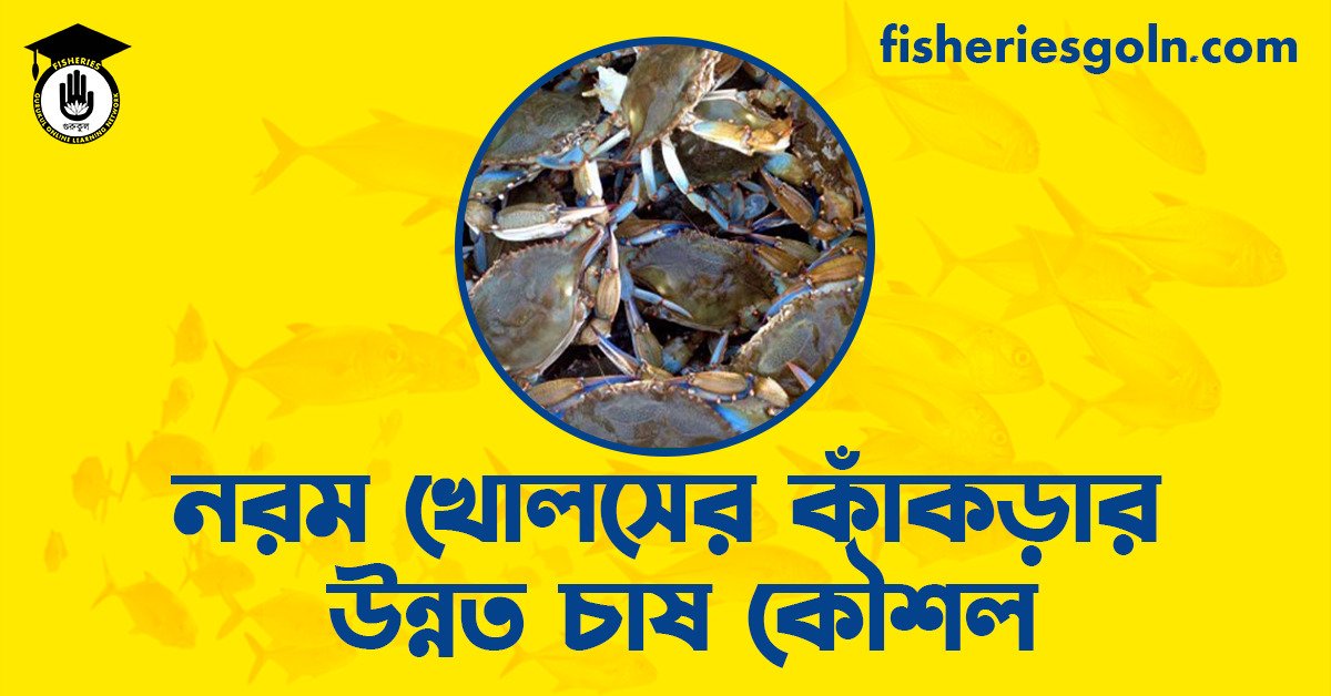 নরম খোলসের কাঁকড়ার উন্নত চাষ কৌশল