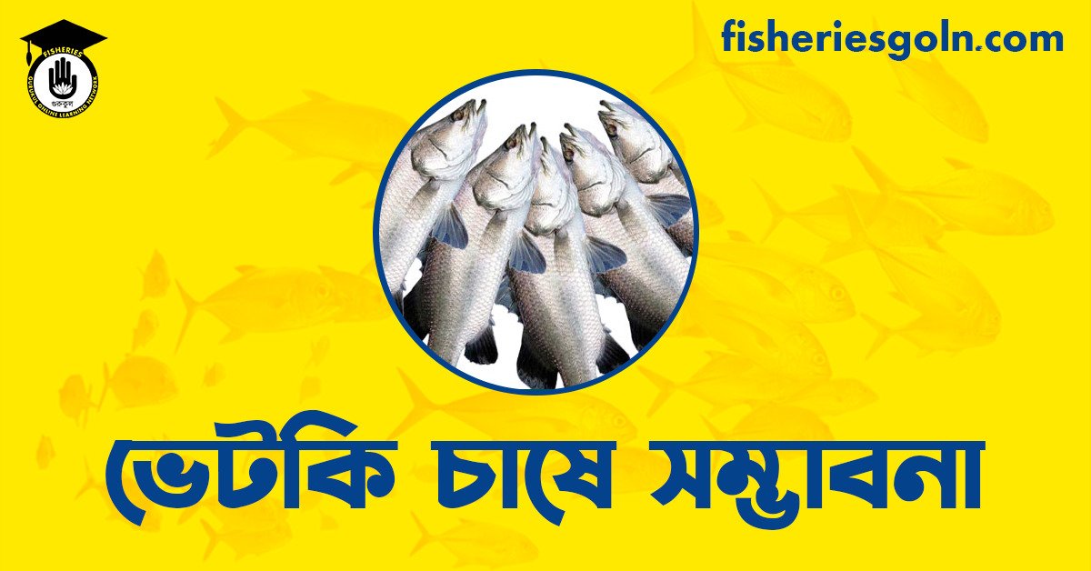 ভেটকি চাষে সম্ভাবনা