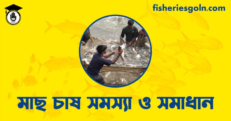 মাছ চাষ সমস্যা ও সমাধান